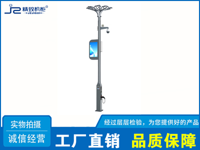 多功能智慧路燈訂制