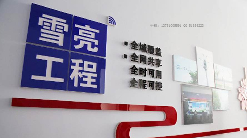 雪亮工程廠家
